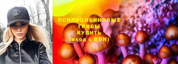 герыч Медногорск