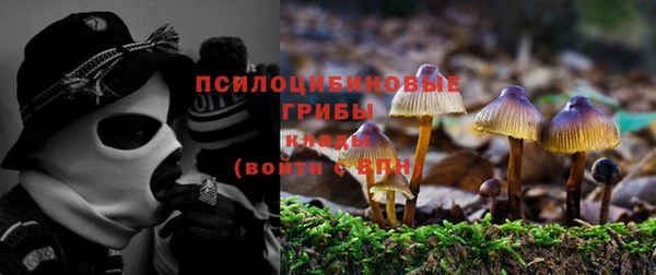 герыч Медногорск